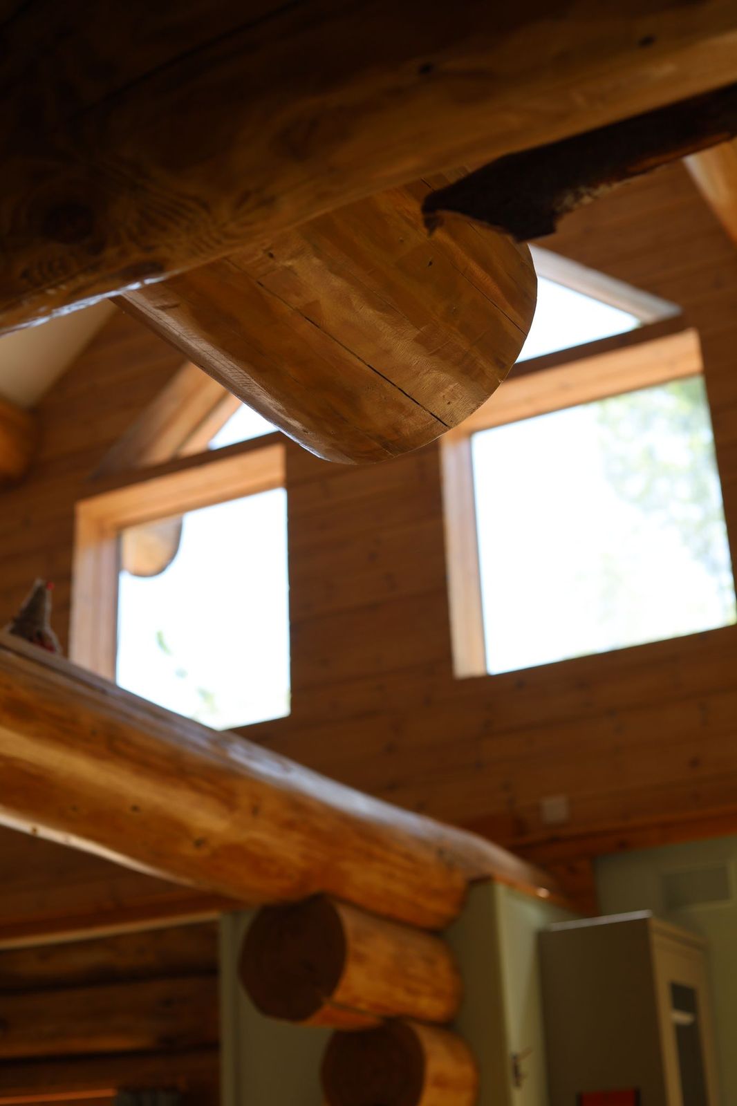 Log Cabins gallery 5