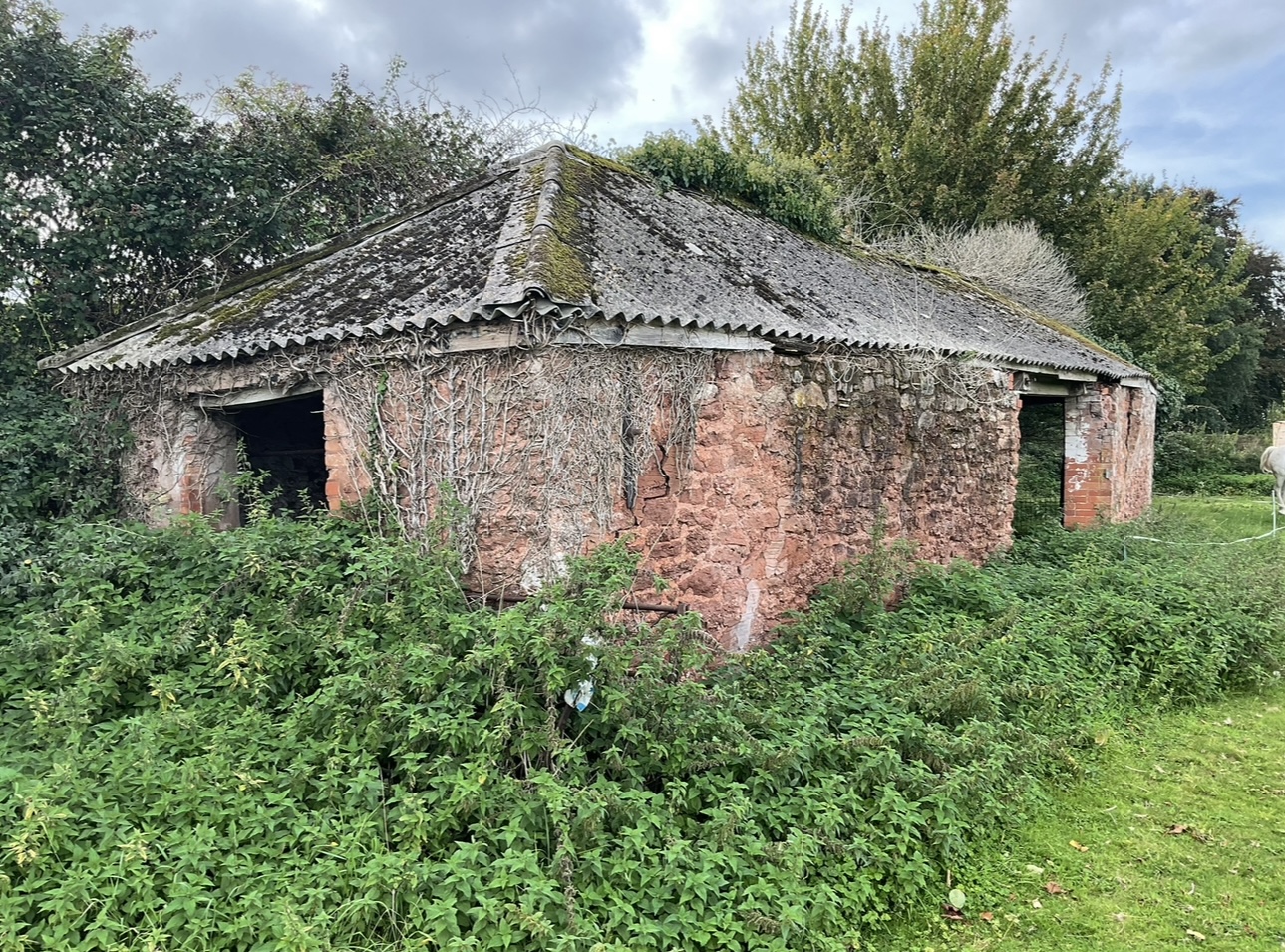 The Guest House — The Brief