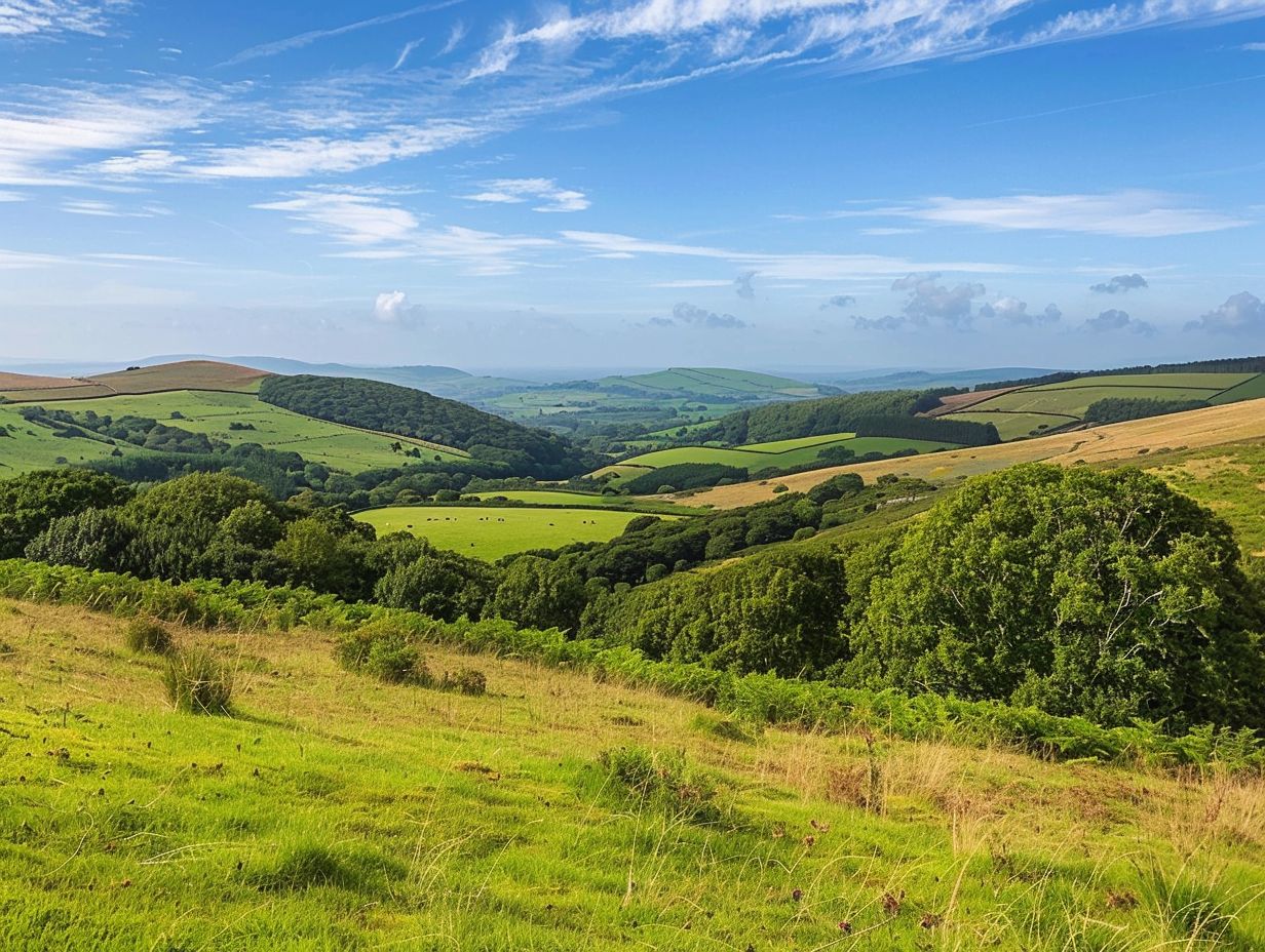 Planning permission in Somerset